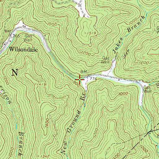 Topographic Map of New Ground Branch, WV