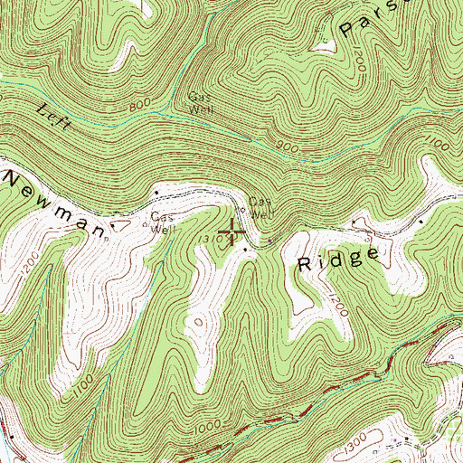 Topographic Map of Newman Ridge, WV