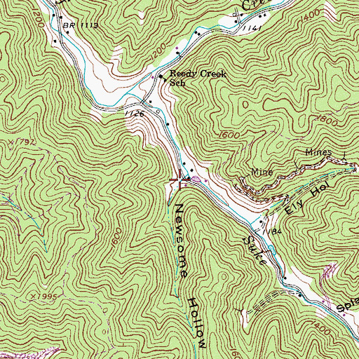 Topographic Map of Newsome Hollow, WV