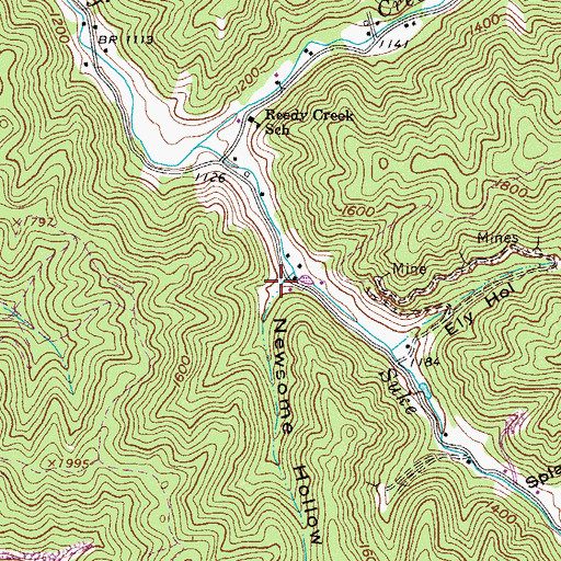 Topographic Map of Newsome Hollow, WV