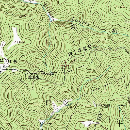 Topographic Map of Newsome Ridge, WV
