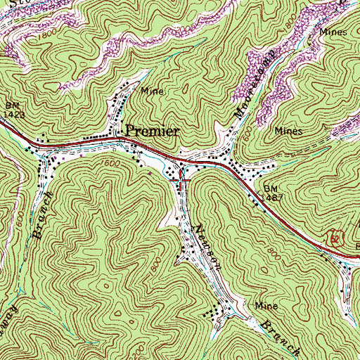 Topographic Map of Newson Branch, WV