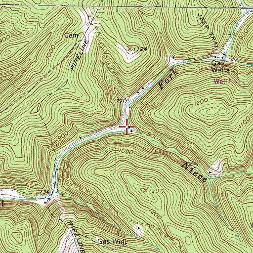 Topographic Map of Niece Branch, WV