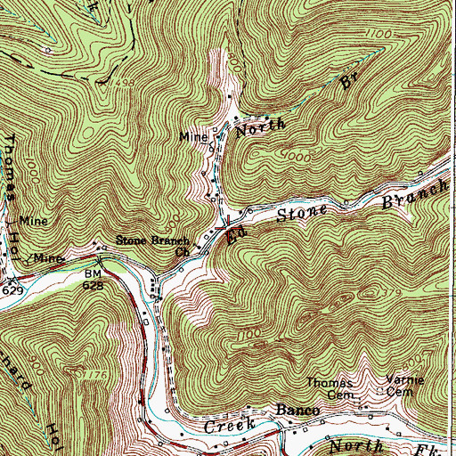 Topographic Map of North Branch Ed Stone Branch, WV