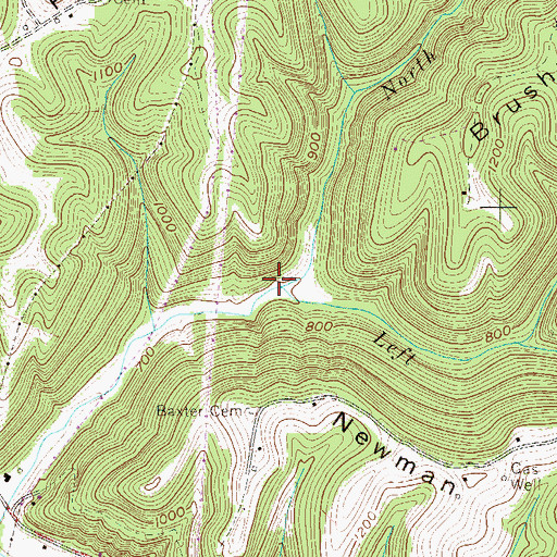 Topographic Map of North Fork Left Fork Proctor Creek, WV