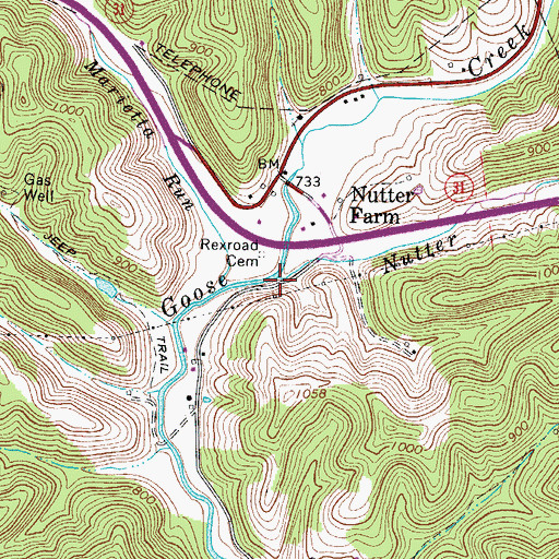 Topographic Map of Nutter Fork, WV