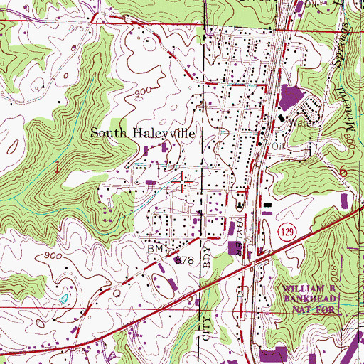 Topographic Map of Agape Church, AL