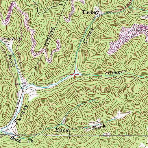 Topographic Map of Olinger Fork, WV
