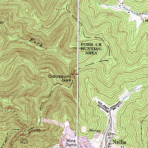 Topographic Map of Opossum Gap, WV