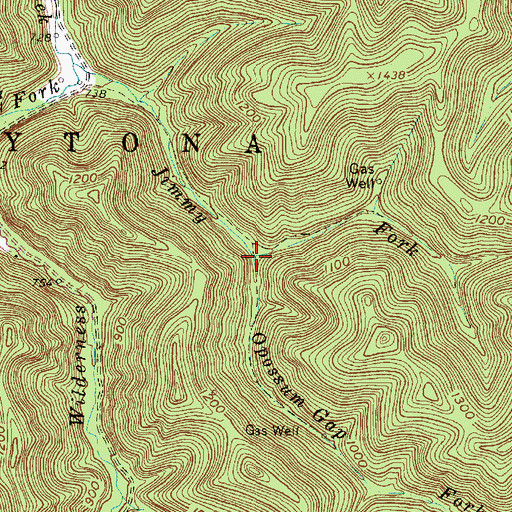 Topographic Map of Opossum Gap Fork, WV
