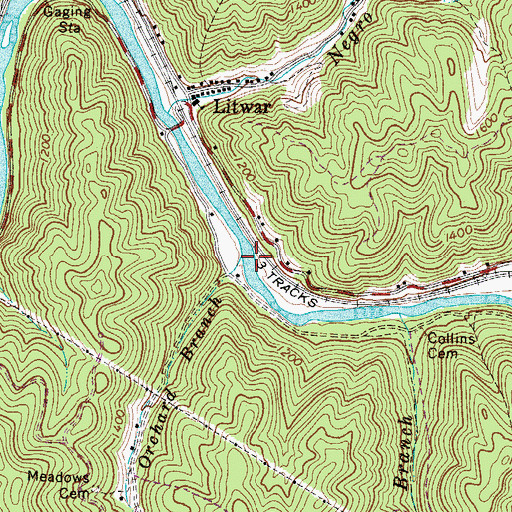 Topographic Map of Orchard Branch, WV