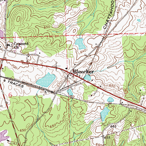Topographic Map of Bleecker, AL