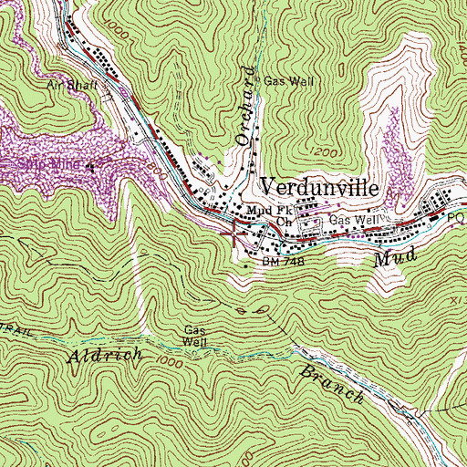 Topographic Map of Orchard Branch, WV