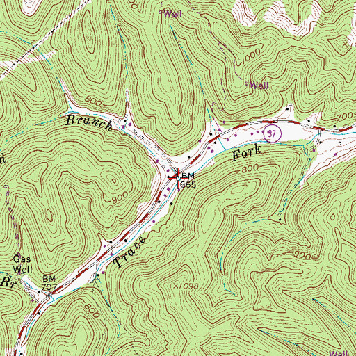 Topographic Map of Orchard Branch, WV