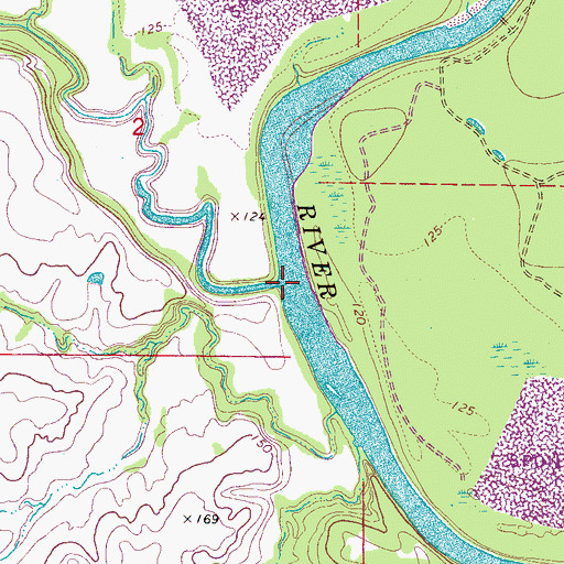 Topographic Map of Bogue Chitto, AL