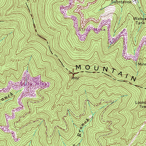 Topographic Map of Paint Mountain, WV