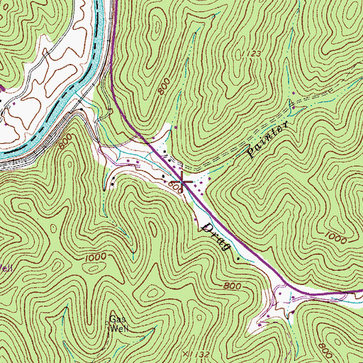 Topographic Map of Painter Branch, WV
