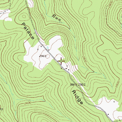 Topographic Map of Palace Ridge, WV