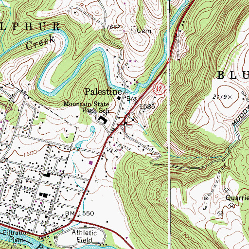 Topographic Map of Palestine, WV