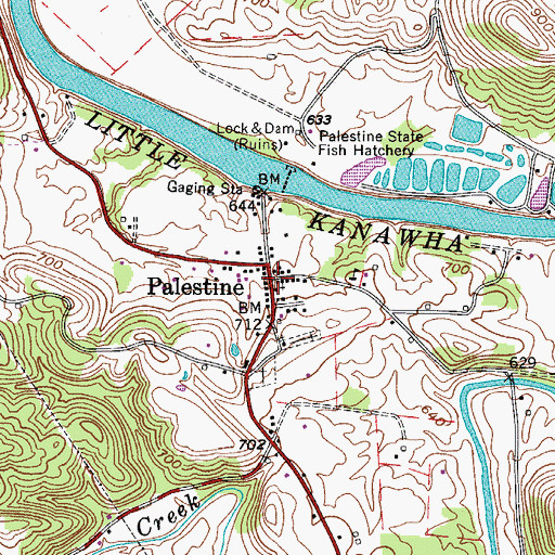 Topographic Map of Palestine, WV