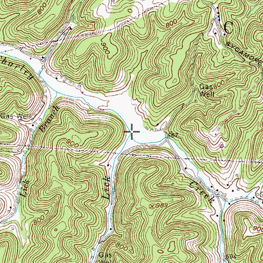 Topographic Map of Panther Lick, WV