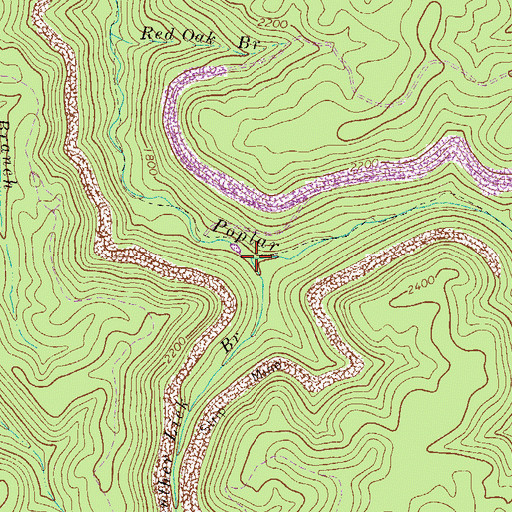 Topographic Map of Panther Lick Branch, WV