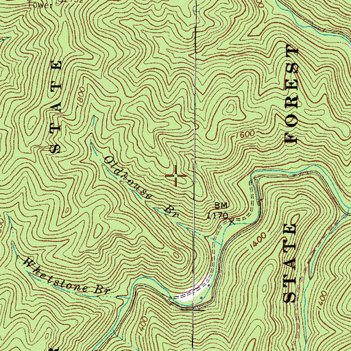 Topographic Map of Panther State Forest, WV