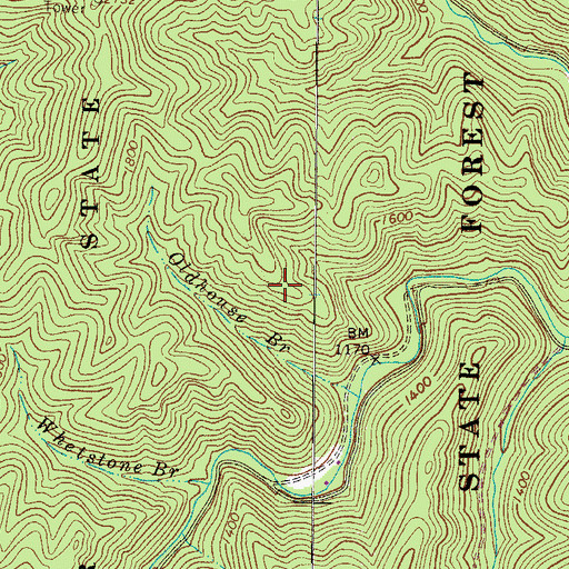Topographic Map of Panther State Forest, WV