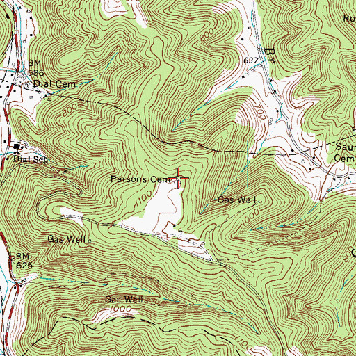 Topographic Map of Parsons Cemetery, WV
