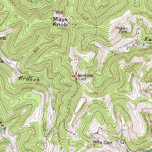 Topographic Map of Parsons Cemetery, WV