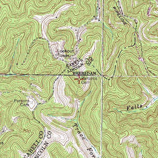 Topographic Map of Parsons Cemetery, WV