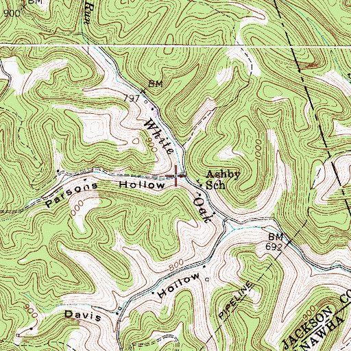 Topographic Map of Parsons Hollow, WV