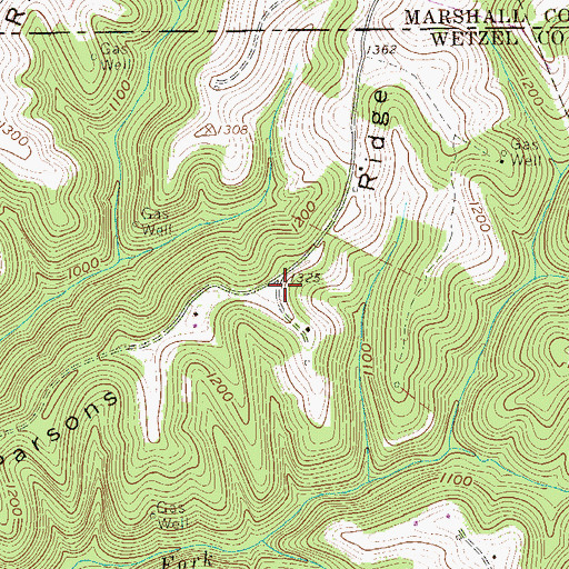 Topographic Map of Parsons Ridge, WV