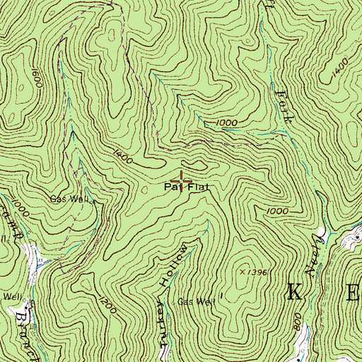 Topographic Map of Pat Flat, WV