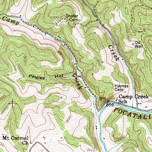 Topographic Map of Pauley Hollow, WV