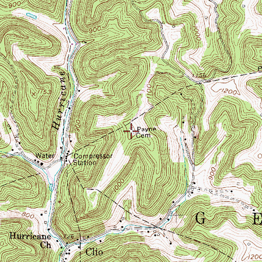 Topographic Map of Payne Cemetery, WV