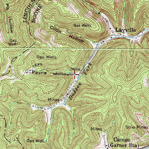 Topographic Map of Payne Hollow, WV