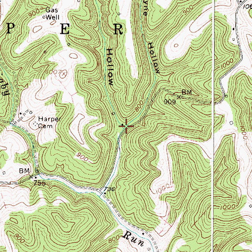 Topographic Map of Payne Hollow, WV