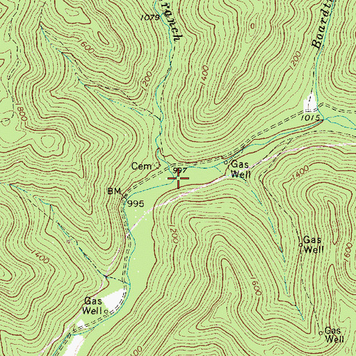 Topographic Map of Peachorchard Branch, WV
