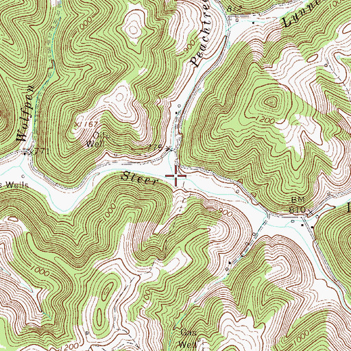 Topographic Map of Peachtree Run, WV