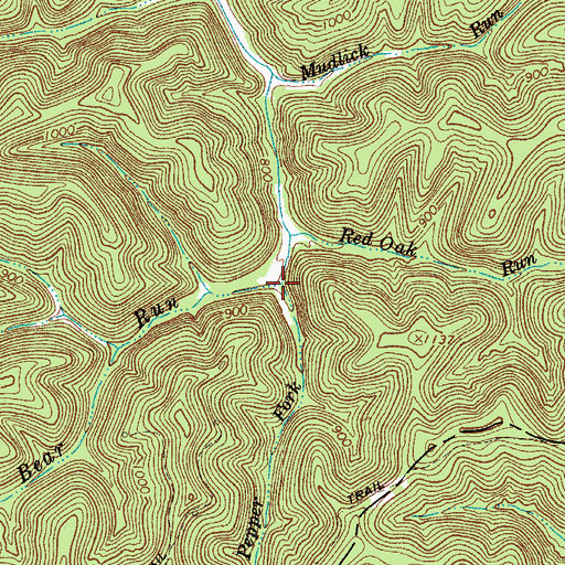 Topographic Map of Pepper Fork, WV