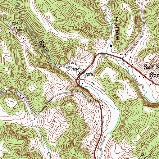 Topographic Map of Pepper Run, WV