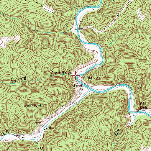 Topographic Map of Perry Branch, WV