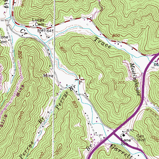 Topographic Map of Perrys Branch, WV