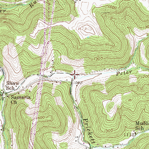 Topographic Map of Peter Johnson Run, WV