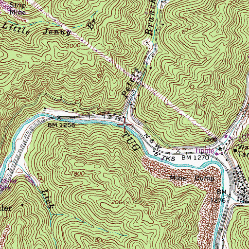 Topographic Map of Peters Branch, WV