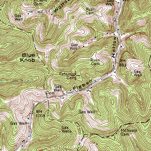 Topographic Map of Peterson Cemetery, WV