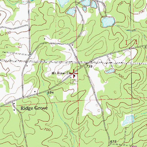 Topographic Map of Mount Sinai Church, AL