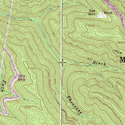 Topographic Map of Pheasant Fork, WV