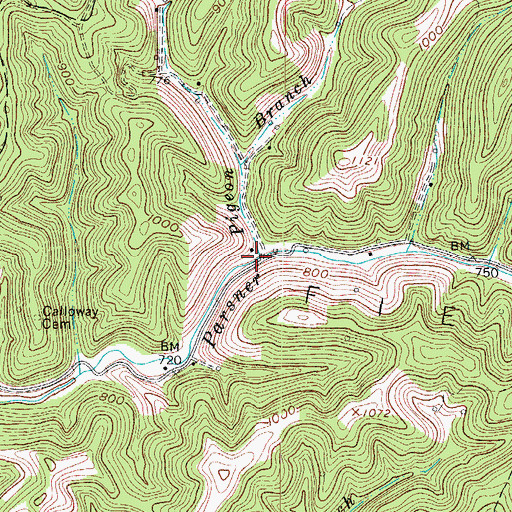 Topographic Map of Pigeon Branch, WV